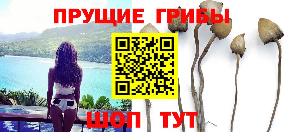 Галлюциногенные грибы Magic Shrooms  Вход с VPN  Псилоцибиновые грибы Magic Shrooms  Кызыл 